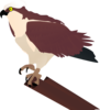 Hawk Perched On Log Clip Art